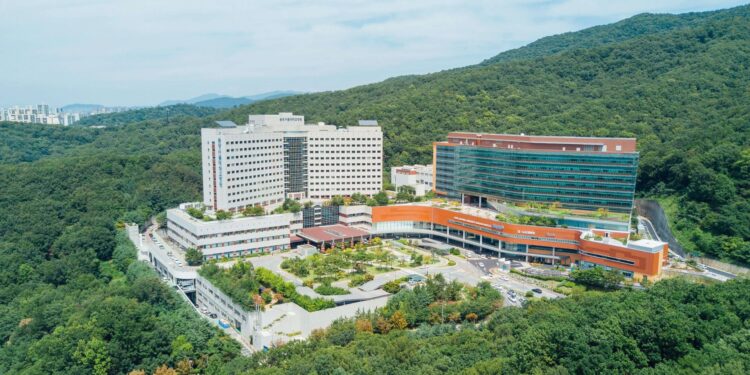 Where to Study Tech in the Age of AI: Recommended Universities in South Korea